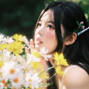公凡梦