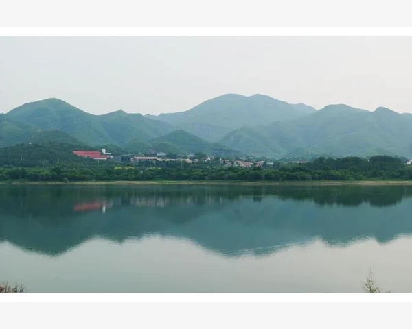 花生的神奇功效：探秘为何花生可化痰